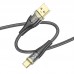 Дата кабель Hoco U121 Gold standart Transparent Discovery Edition USB to Type-C (1.2m)