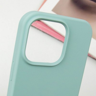 Чехол Silicone Case Full Protective (AA) NO LOGO для Apple iPhone 16 Pro (6.3")